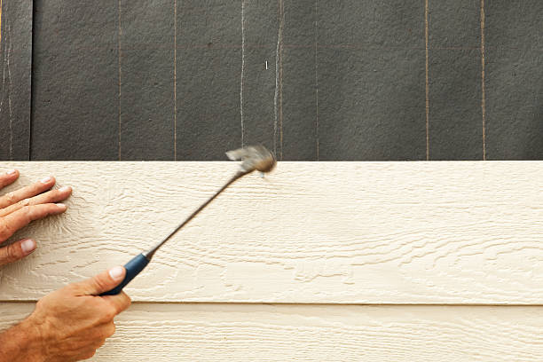 Best Custom Siding Design  in Waveland, MS